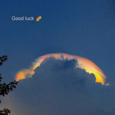 爱游戏APP·官方登录入口(ayx)